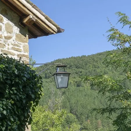 Del Parco Assisi